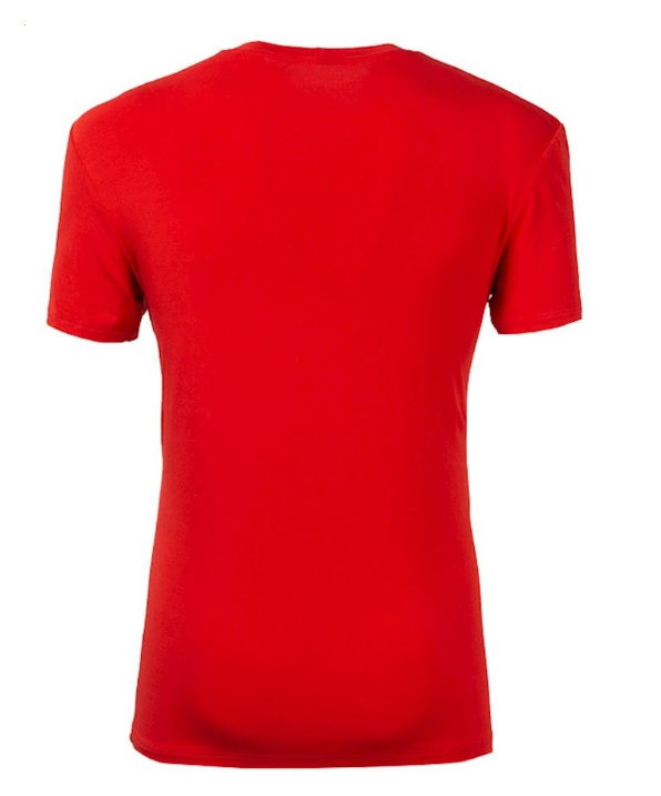 Pánské tričko s bambusem