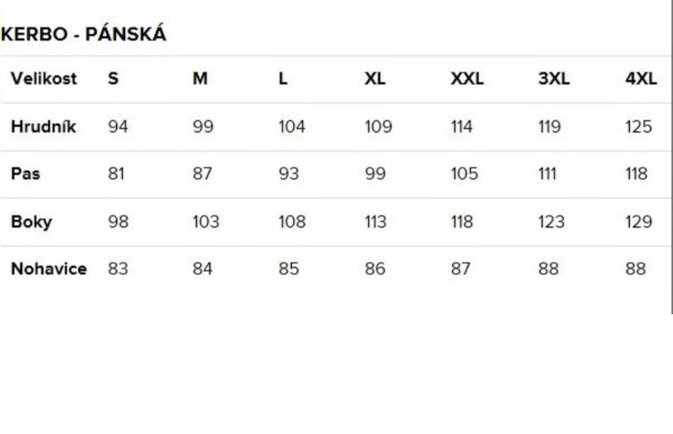 Pánské funkční triko Kerbo Rasgo